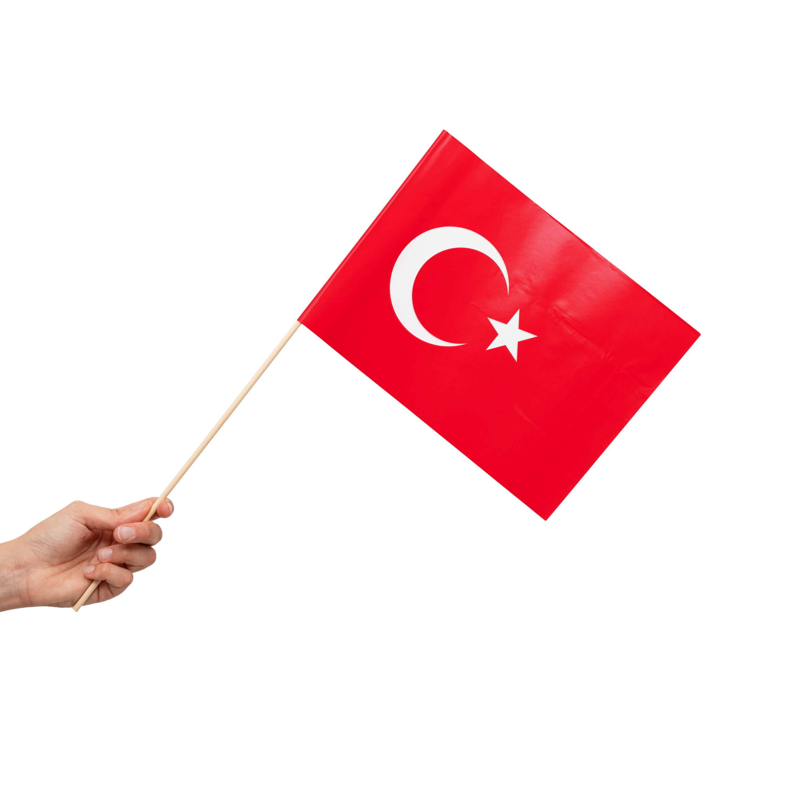 10st Papieren Vlaggetjes Turkije