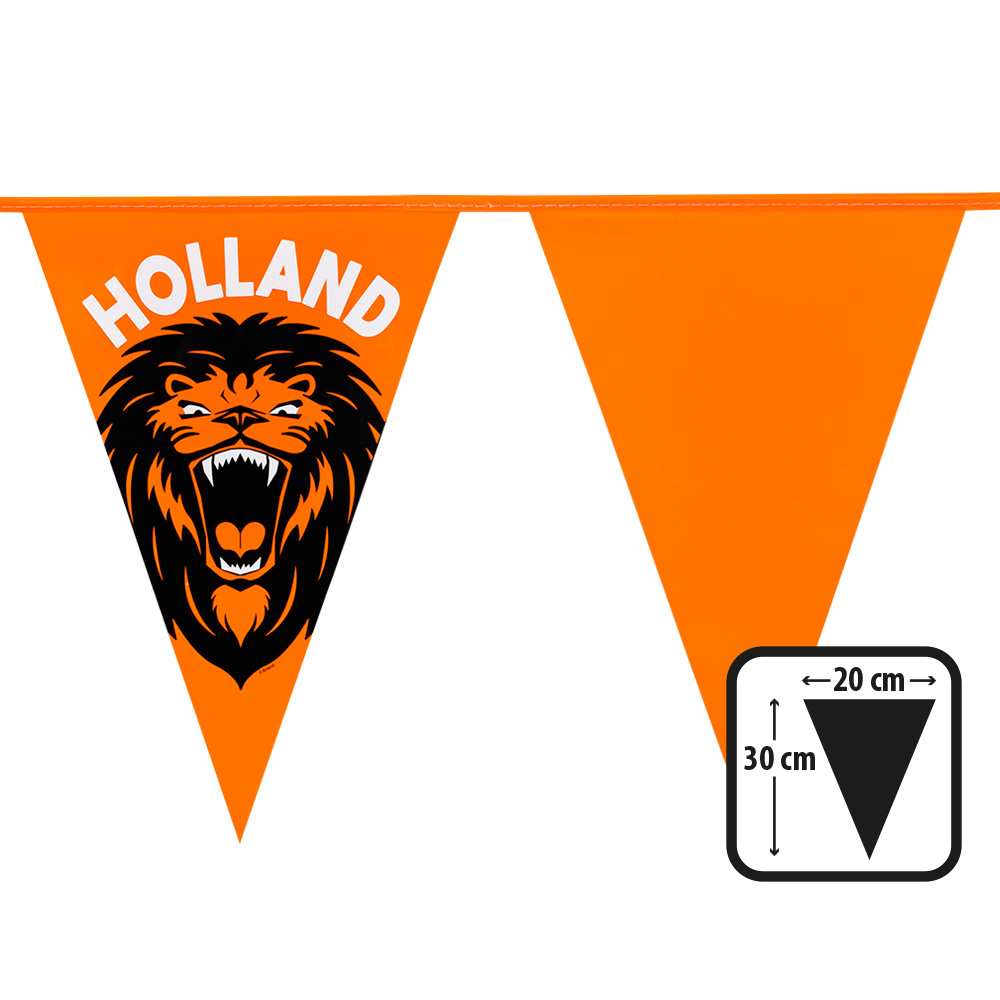 6m Vlaggenlijn Holland Leeuw