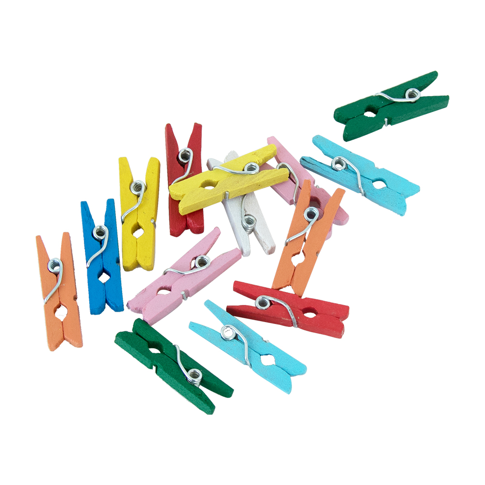 20st Wasknijpertjes Assortiment Mini