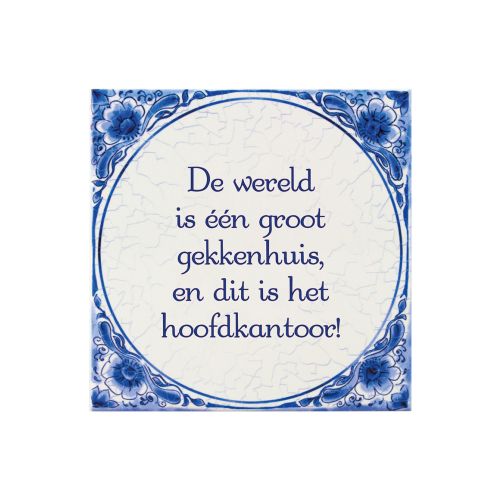 Tegeltje Delfts Blauw - Gekkenhuis